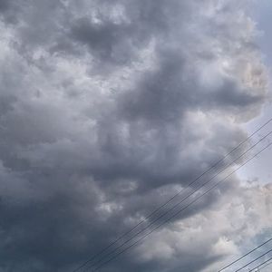 Meet your Posher, Arlene